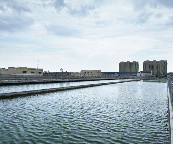 PVC直壁管（guǎn）