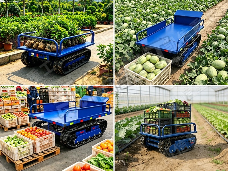 電動（dòng）果蔬專用履帶運輸車（chē） 農用全地形轉（zhuǎn）運設備